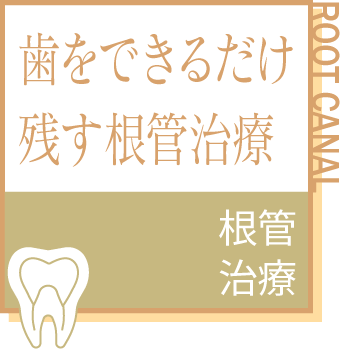歯をできるだけ残す根管治療