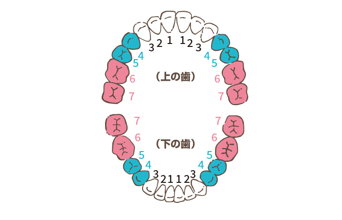 通常の保険適用できる範囲