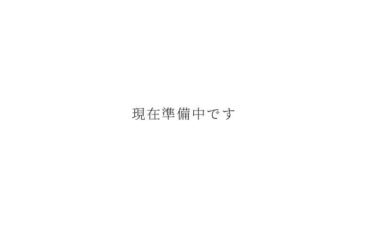 現在準備中です